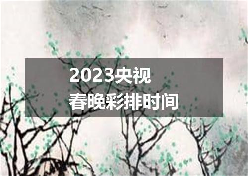 2023央视春晚彩排时间