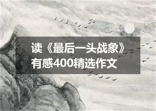 读《最后一头战象》有感400精选作文