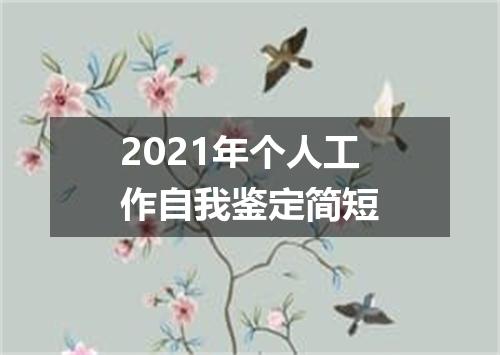 2021年个人工作自我鉴定简短