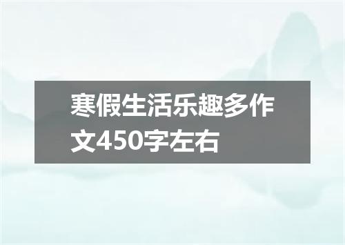 寒假生活乐趣多作文450字左右