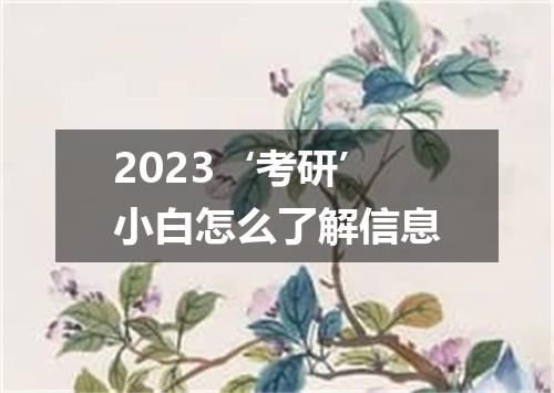 2023‘考研’小白怎么了解信息