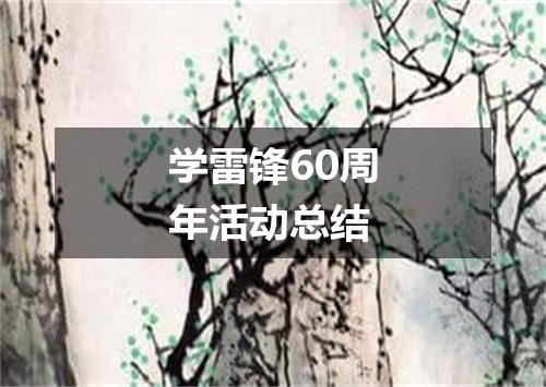 学雷锋60周年活动总结