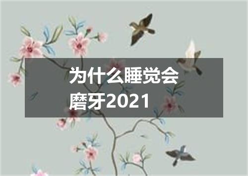 为什么睡觉会磨牙2021