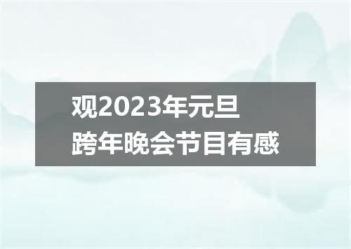 观2023年元旦跨年晚会节目有感