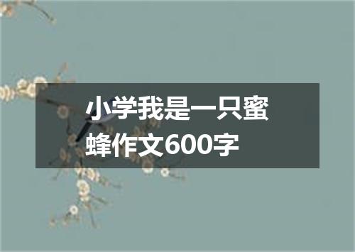 小学我是一只蜜蜂作文600字