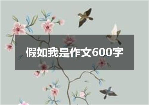 假如我是作文600字