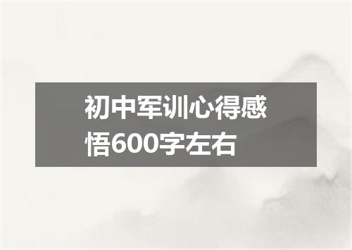 初中军训心得感悟600字左右
