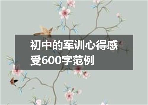 初中的军训心得感受600字范例
