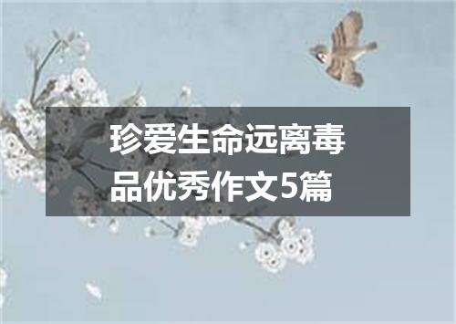 珍爱生命远离毒品优秀作文5篇