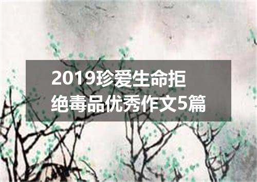 2019珍爱生命拒绝毒品优秀作文5篇