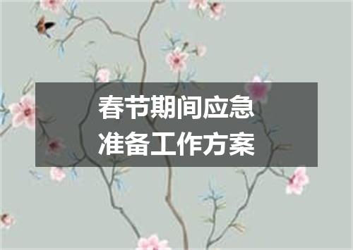 春节期间应急准备工作方案