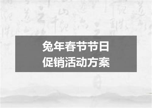 兔年春节节日促销活动方案