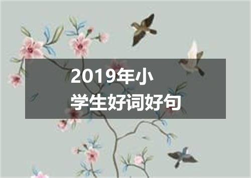 2019年小学生好词好句
