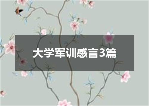 大学军训感言3篇