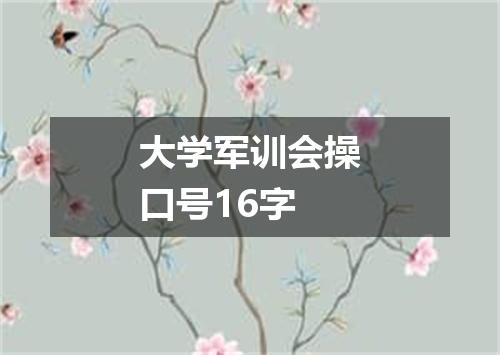 大学军训会操口号16字