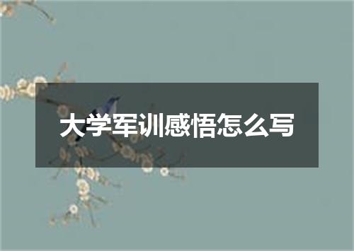 大学军训感悟怎么写