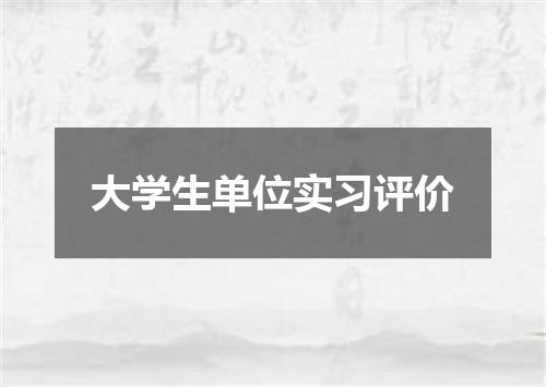 大学生单位实习评价