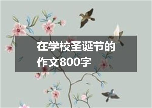 在学校圣诞节的作文800字