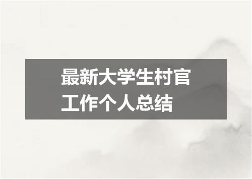 最新大学生村官工作个人总结