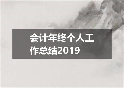 会计年终个人工作总结2019