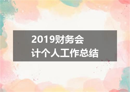 2019财务会计个人工作总结