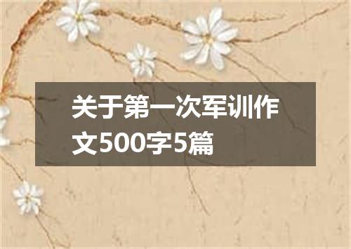 关于第一次军训作文500字5篇
