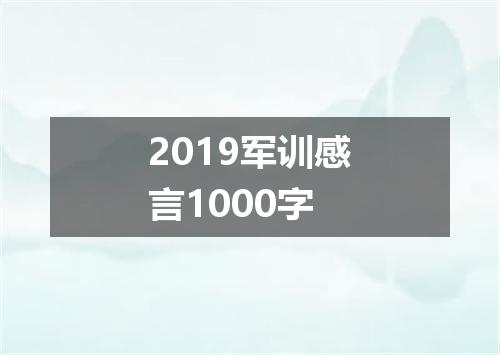 2019军训感言1000字