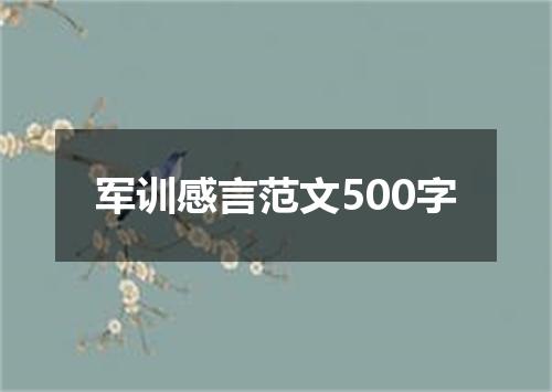 军训感言范文500字