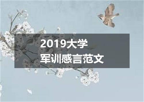 2019大学军训感言范文