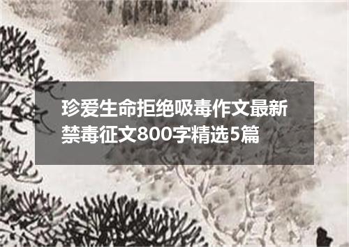 珍爱生命拒绝吸毒作文最新禁毒征文800字精选5篇