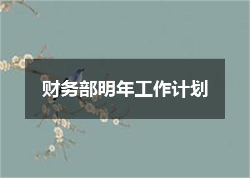 财务部明年工作计划