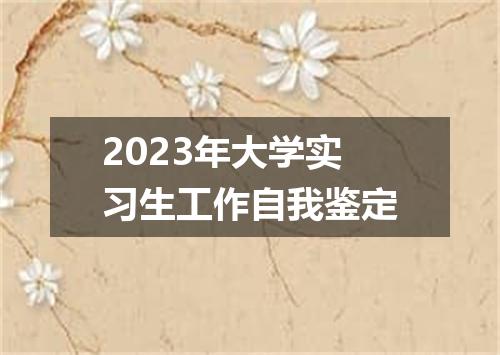 2023年大学实习生工作自我鉴定