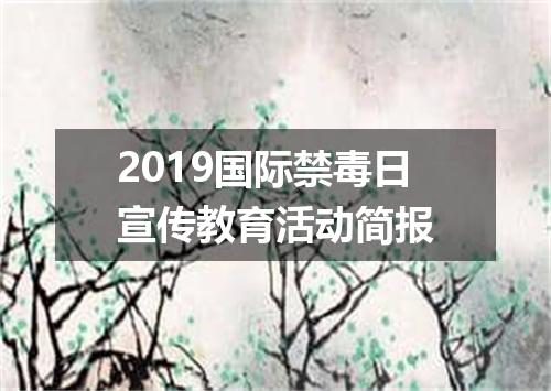 2019国际禁毒日宣传教育活动简报