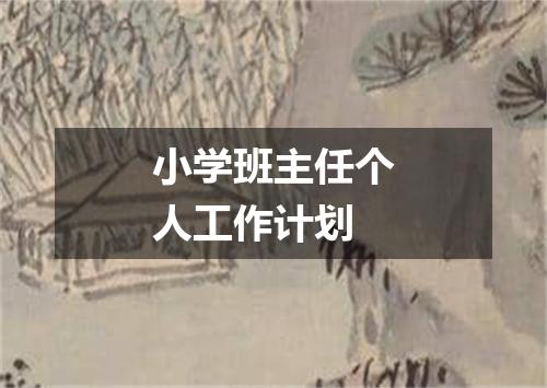 小学班主任个人工作计划
