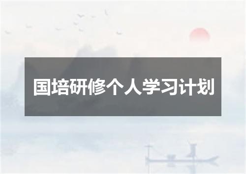 国培研修个人学习计划