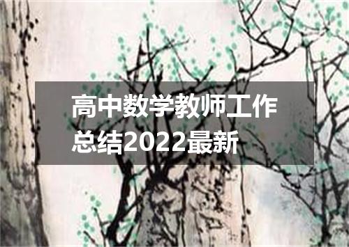 高中数学教师工作总结2022最新