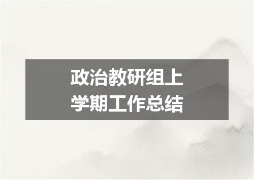 政治教研组上学期工作总结