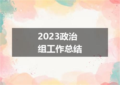 2023政治组工作总结