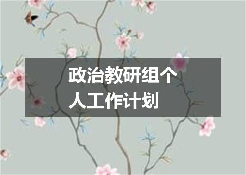 政治教研组个人工作计划