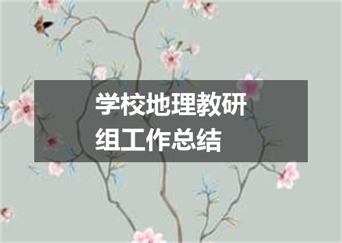 学校地理教研组工作总结
