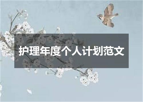护理年度个人计划范文