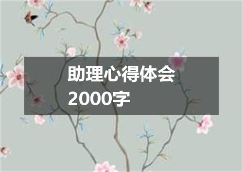 助理心得体会2000字