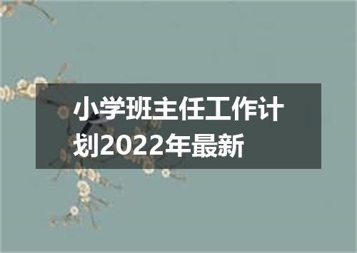 小学班主任工作计划2022年最新