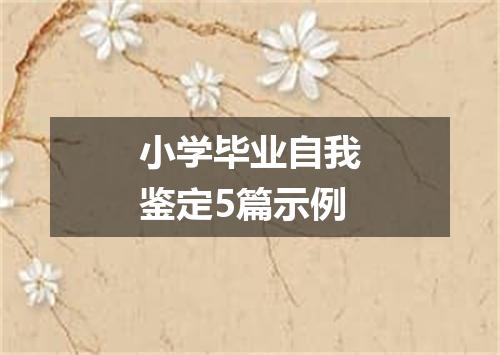 小学毕业自我鉴定5篇示例