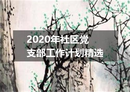 2020年社区党支部工作计划精选