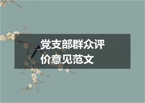 党支部群众评价意见范文