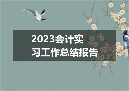2023会计实习工作总结报告