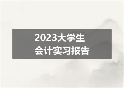 2023大学生会计实习报告