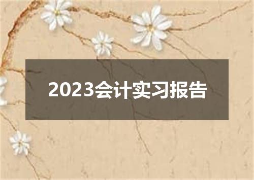 2023会计实习报告