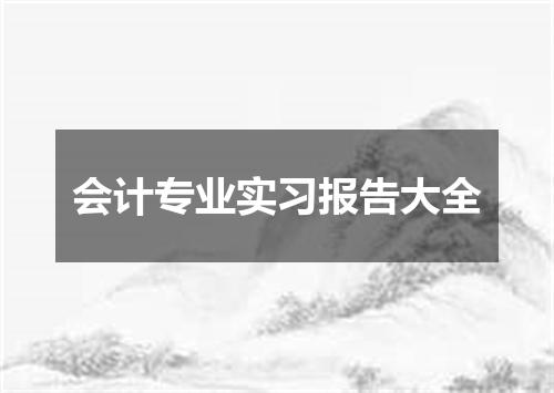 会计专业实习报告大全